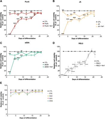 Resistance to CLnA-induced ferroptosis is acquired in Caco-2 cells upon differentiation